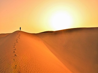 person in desert