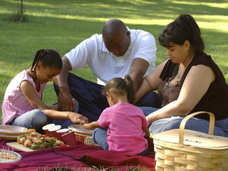 family picnic