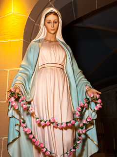 virgin mary in pink dress VIRTUS® Online